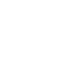 logo WhatsApp